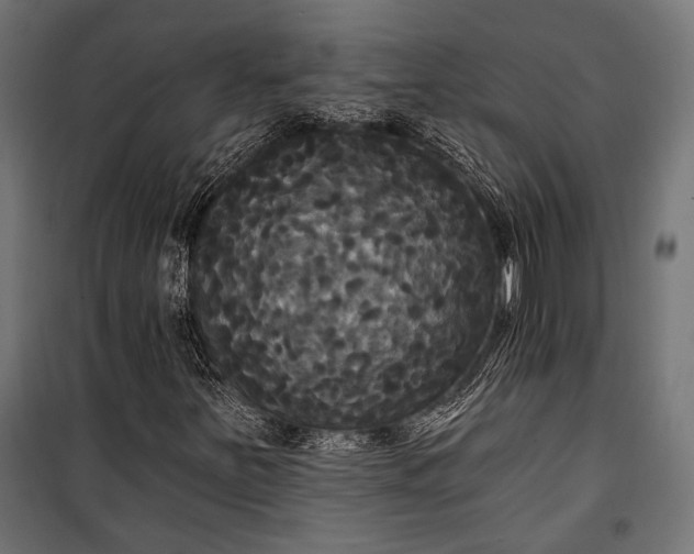 X0000100331251200806191059