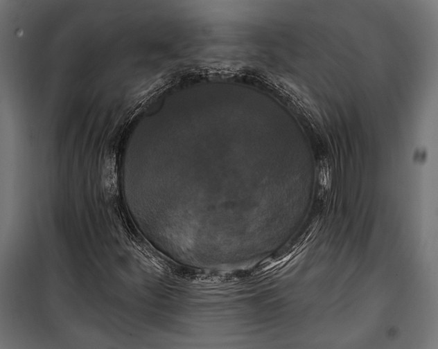 X0000100331252200806191059