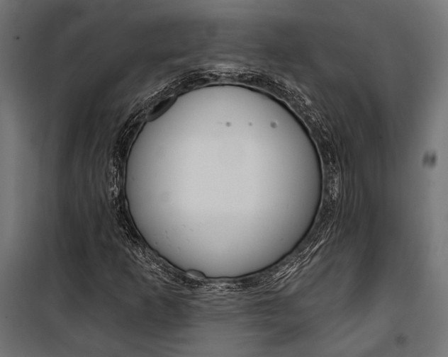 X0000100331253200806191059