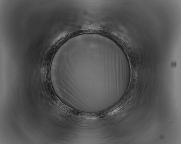 X0000100331254200806191059