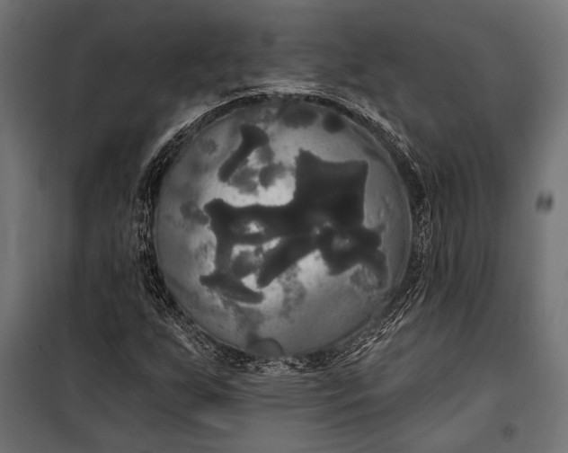 X0000100331255200806191059