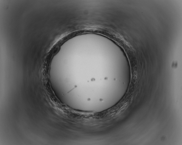 X0000100331256200806191059