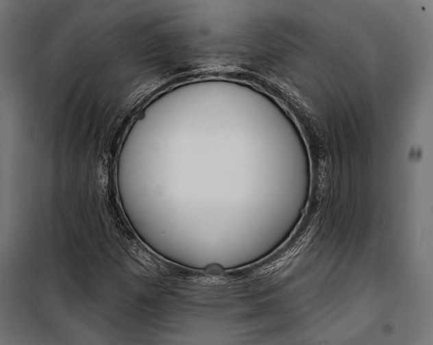 X0000100331257200806191059