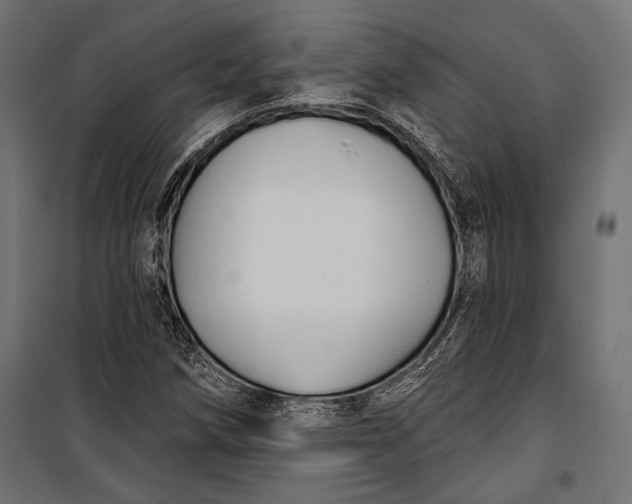 X0000100331258200806191059