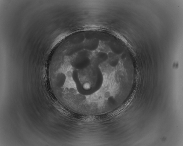 X0000100331259200806191059