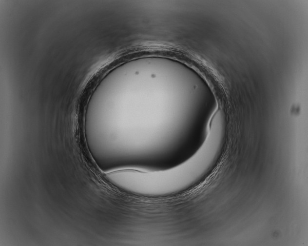 X0000100331261200806191059