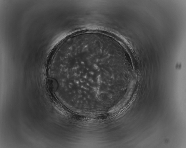 X0000100331263200806191059