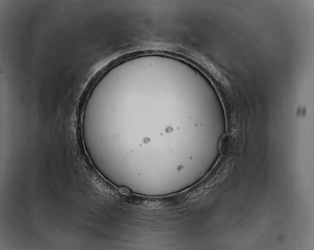 X0000100331264200806191059