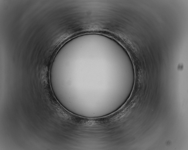 X0000100331265200806191059