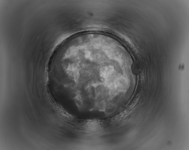 X0000100331267200806191059