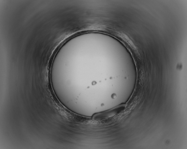 X0000100331268200806191059