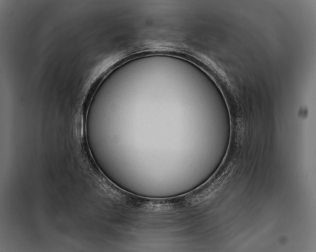 X0000100331269200806191059