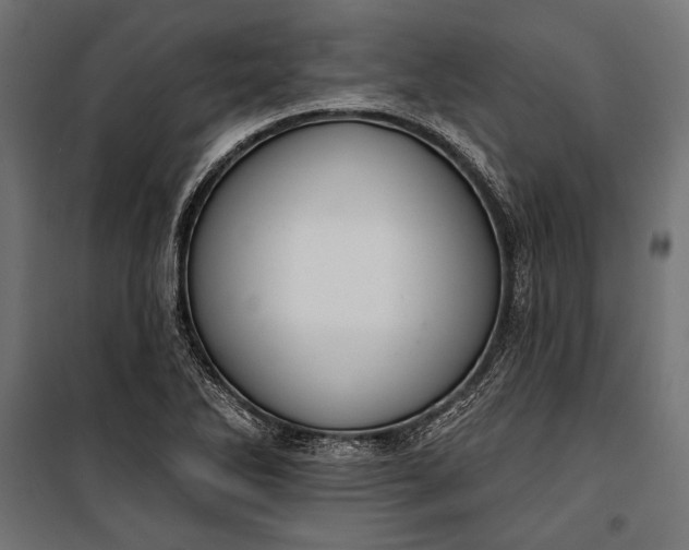 X0000100331270200806191059