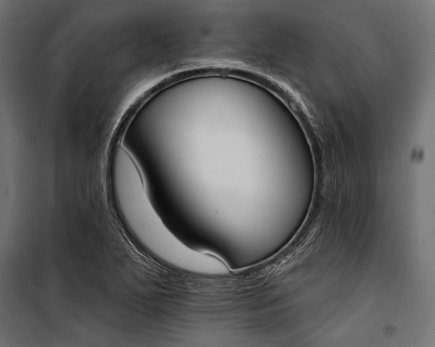 X0000100331271200806191059