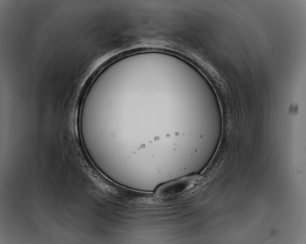 X0000100331272200806191059