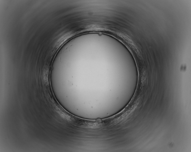 X0000100331273200806191059