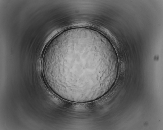 X0000100331274200806191059