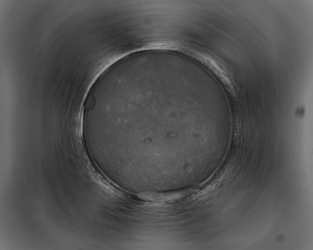 X0000100331276200806191059