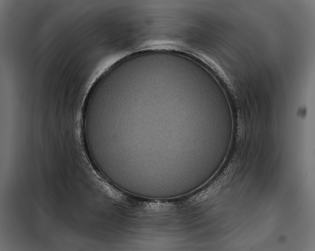 X0000100331277200806191059