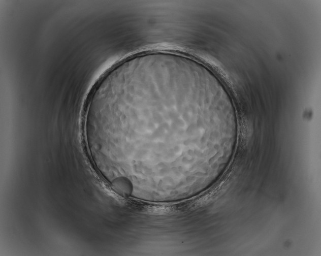 X0000100331278200806191059