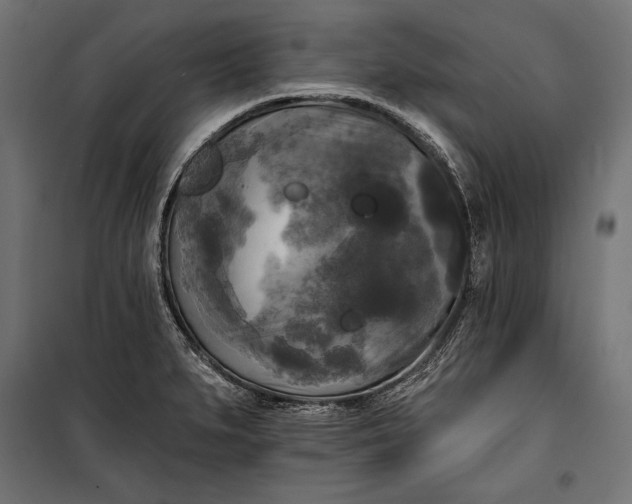 X0000100331279200806191059