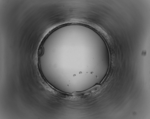 X0000100331280200806191059