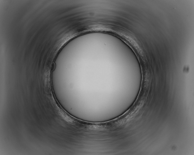 X0000100331281200806191059