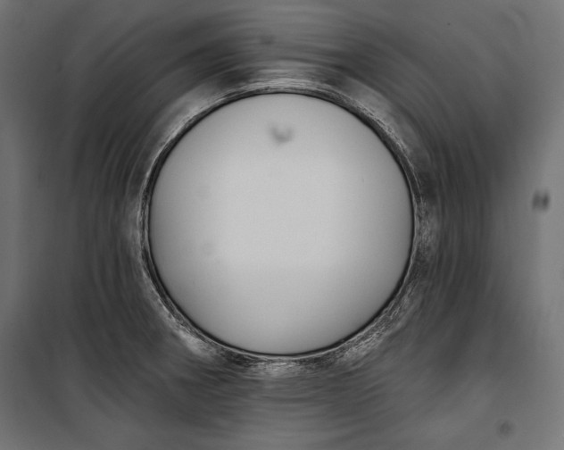 X0000100331282200806191059