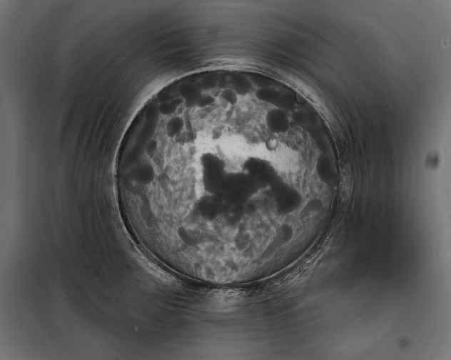 X0000100331283200806191059