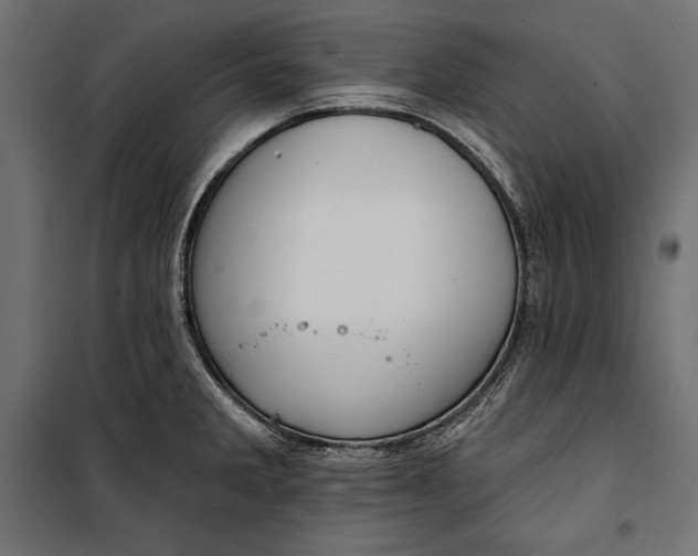 X0000100331285200806191059