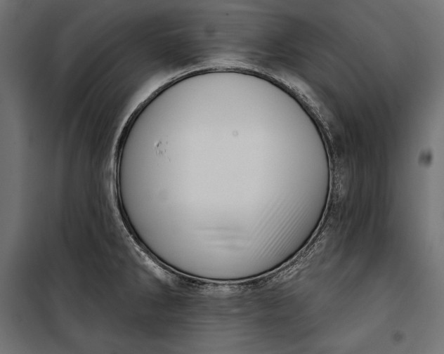 X0000100331286200806191059