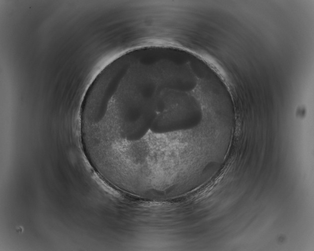 X0000100331287200806191059