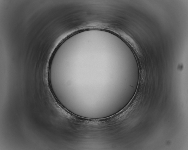 X0000100331288200806191059