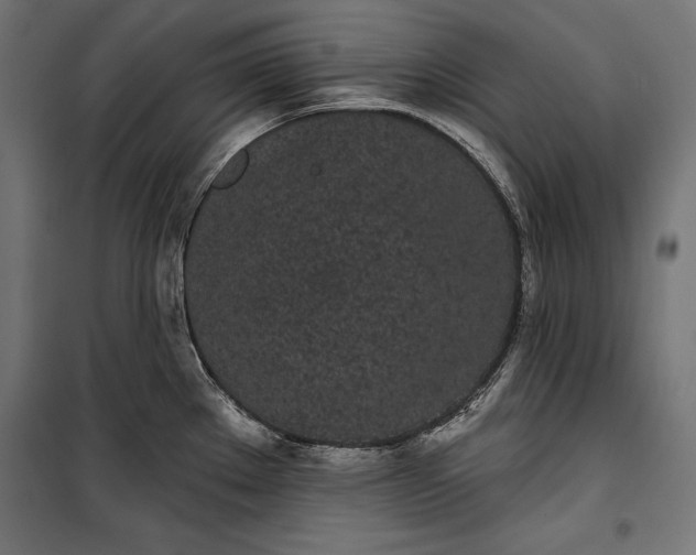 X0000100331289200806191059