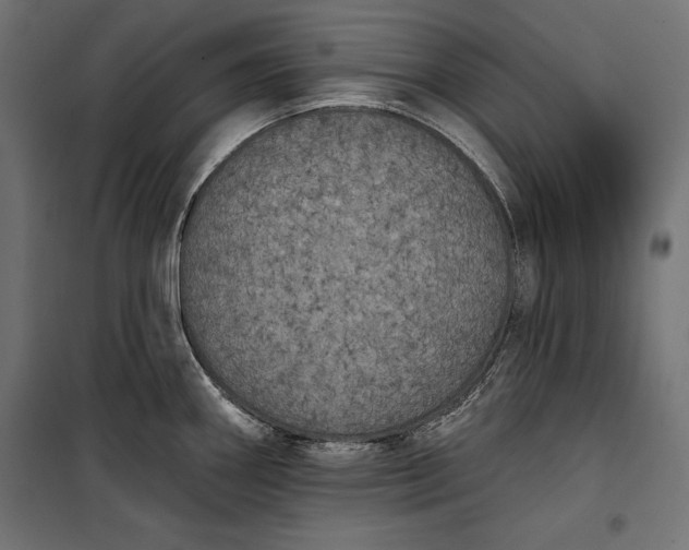 X0000100331290200806191059