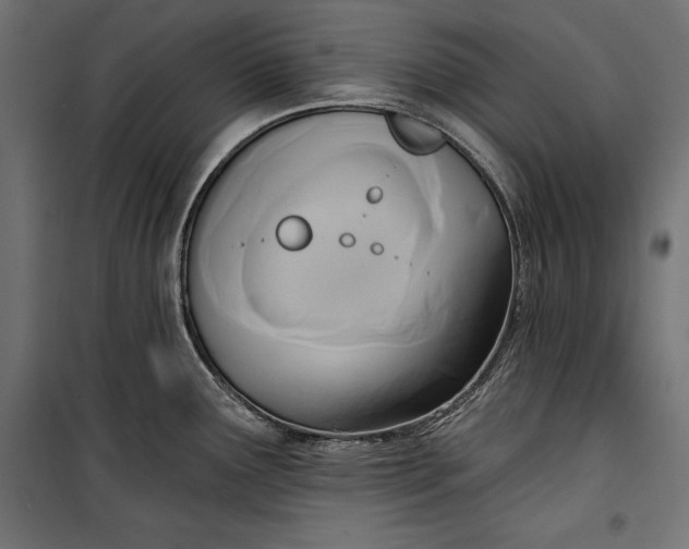 X0000100331291200806191059