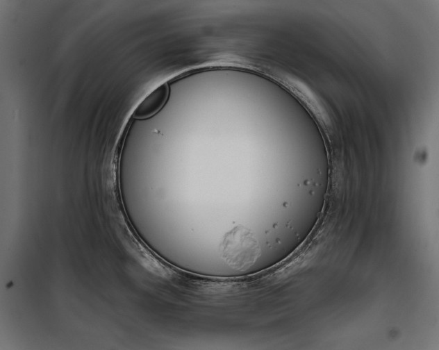 X0000100331292200806191059