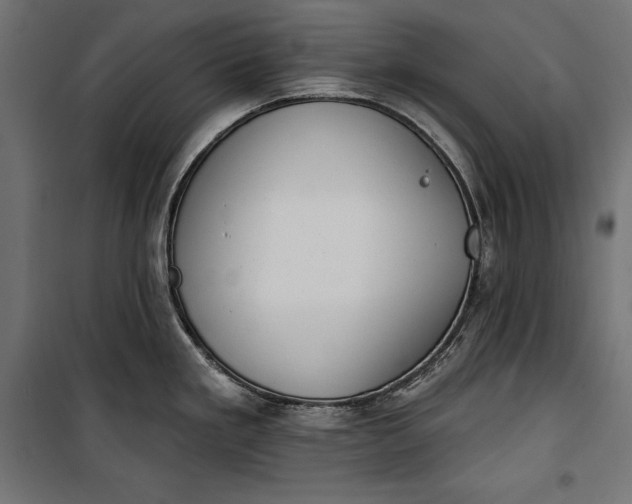 X0000100331293200806191059