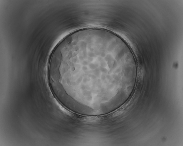 X0000100331294200806191059