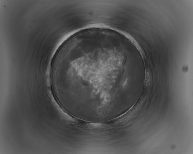 X0000100331295200806191059