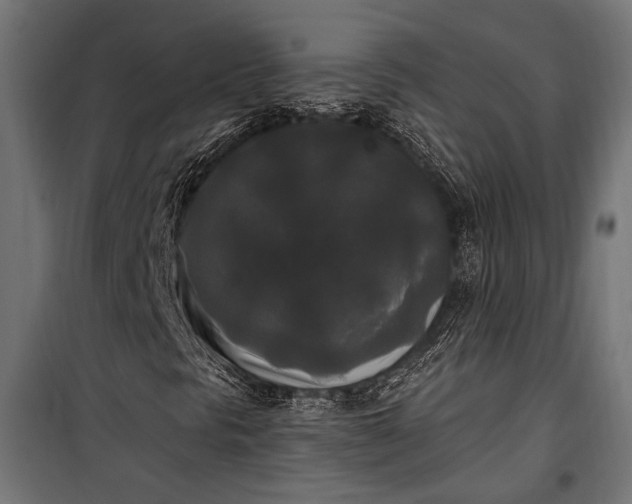 X0000100331297200806191058