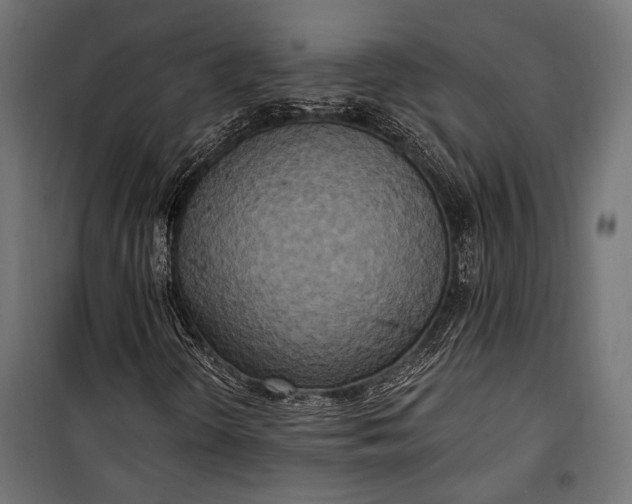 X0000100331298200806191058