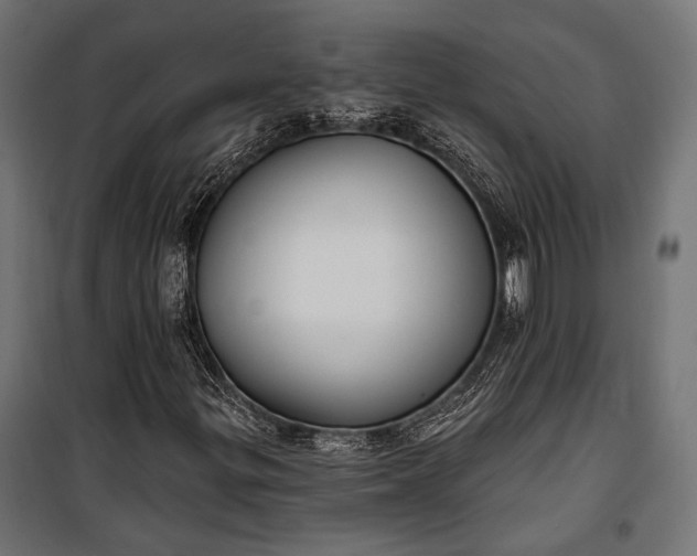 X0000100331299200806191058