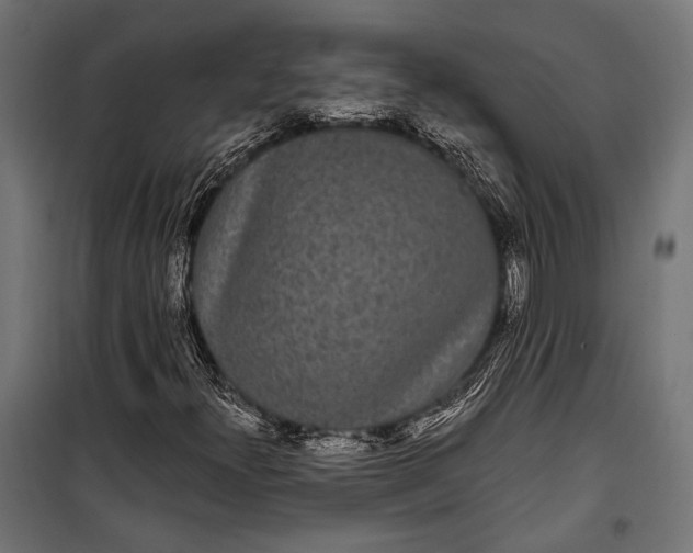 X0000100331300200806191058