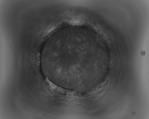 X0000100331301200806191058