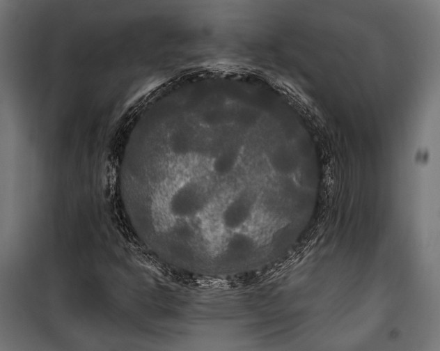 X0000100331302200806191058