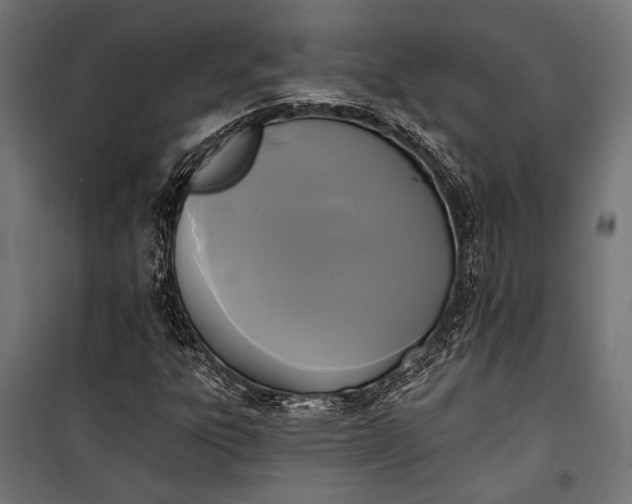 X0000100331303200806191058