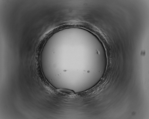 X0000100331304200806191058