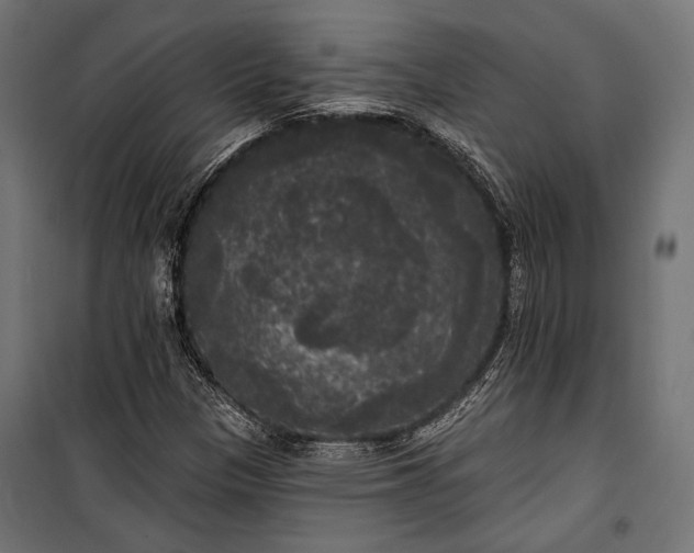 X0000100331305200806191058