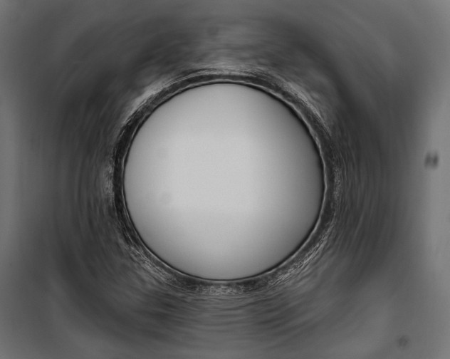 X0000100331307200806191058